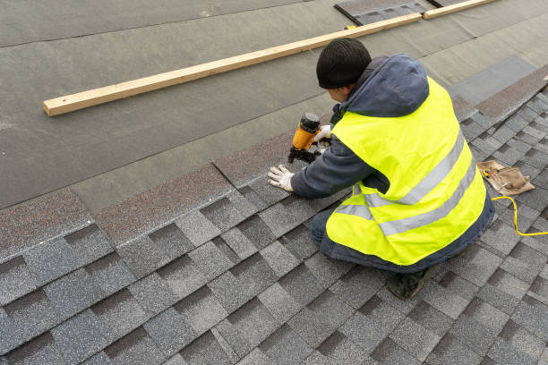 Best Roof Restoration Services  in Taylorvle, IL