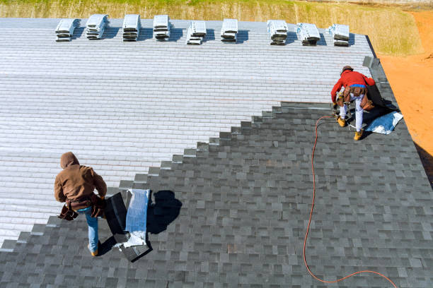Best Roof Repair Services  in Taylorvle, IL
