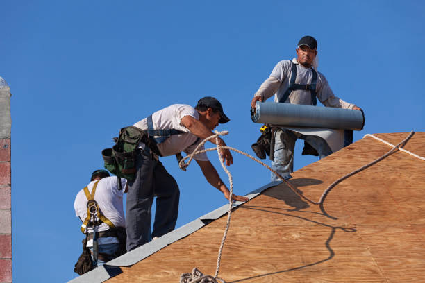 Best Commercial Roofing Services  in Taylorvle, IL