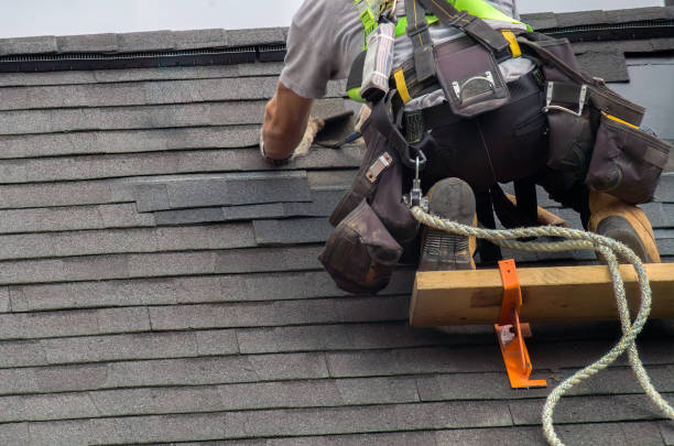 Best Roof Gutter Cleaning  in Taylorvle, IL