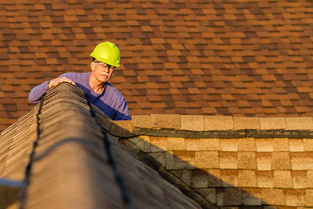 Best Roof Gutter Cleaning  in Taylorvle, IL