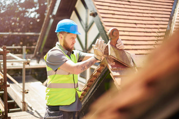 Best Emergency Roof Repair  in Taylorvle, IL