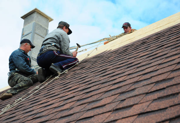 Best Roof Waterproofing Services  in Taylorvle, IL