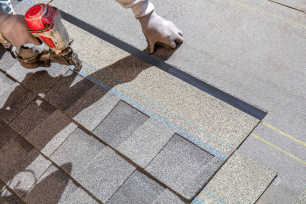 Best Shingle Roofing Installation  in Taylorvle, IL